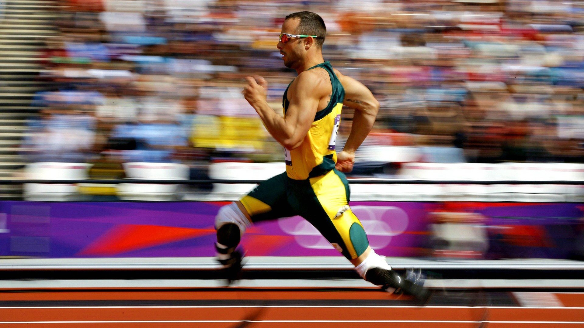 南非橄榄球青训体制进一步加强，人才储备充足，南非橄榄球队赢世界杯