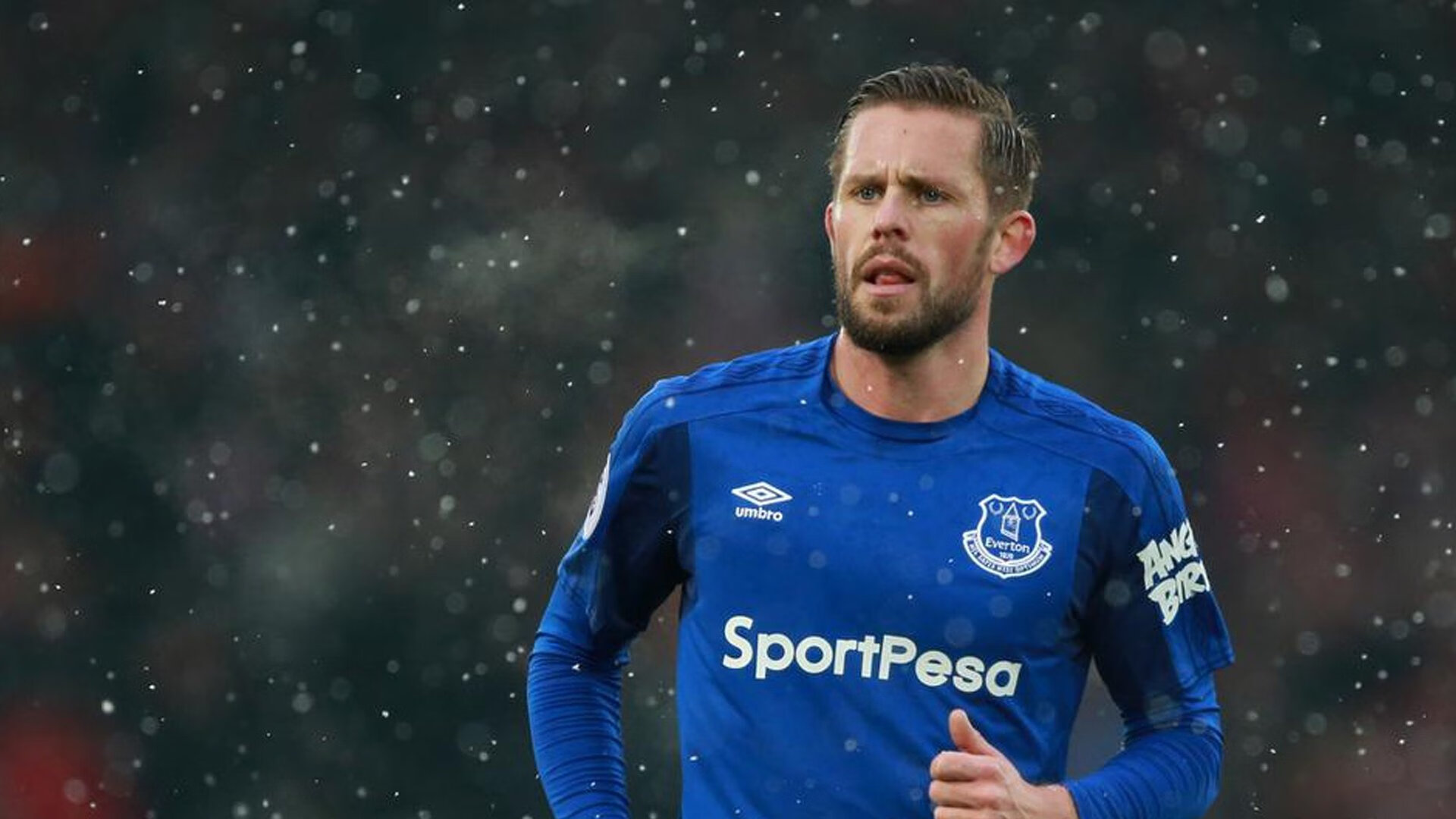 美洲杯奋战不息：明星拼搏，精彩绝伦！，美洲杯人气