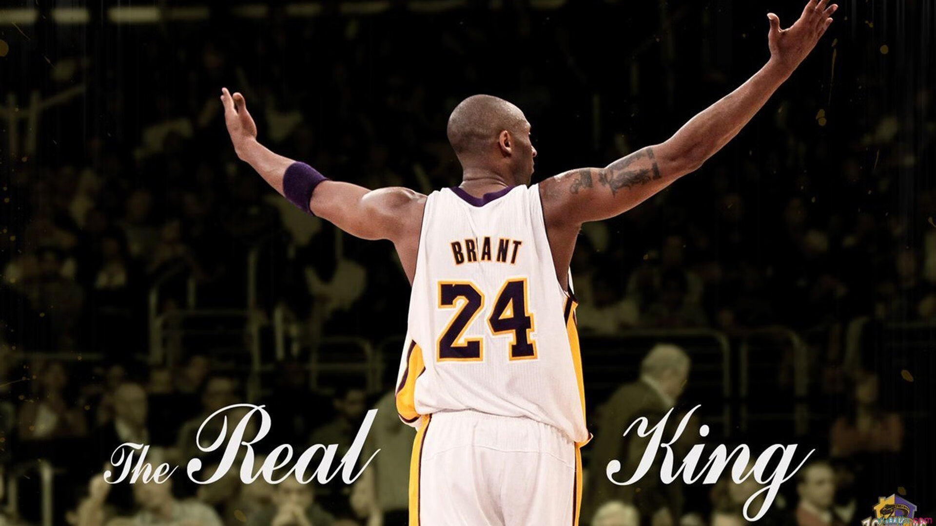 青训赛事：高校联赛为职业赛场输送新鲜血液的典型案例